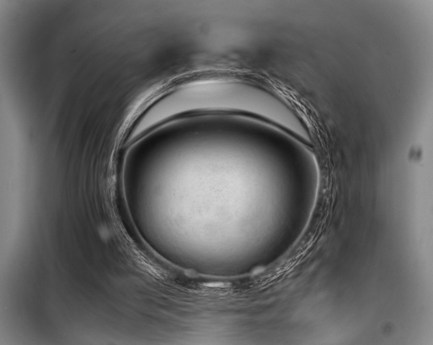 X0000098140053200804171557