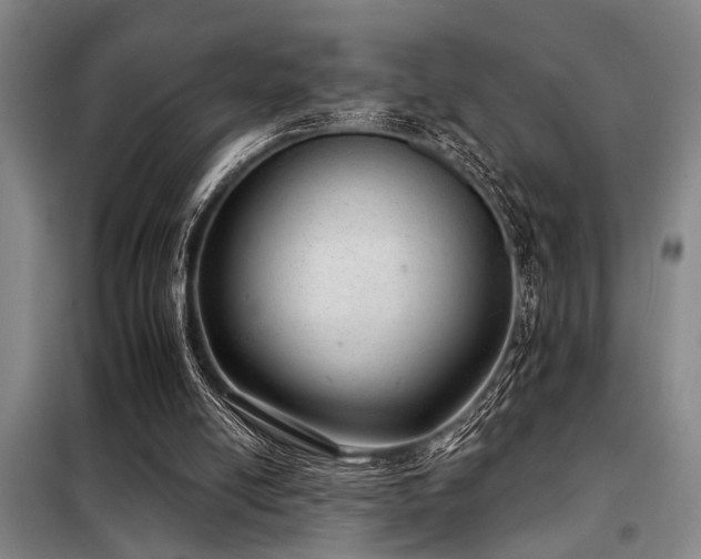 X0000098140054200804171557
