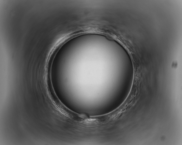 X0000098140055200804171557