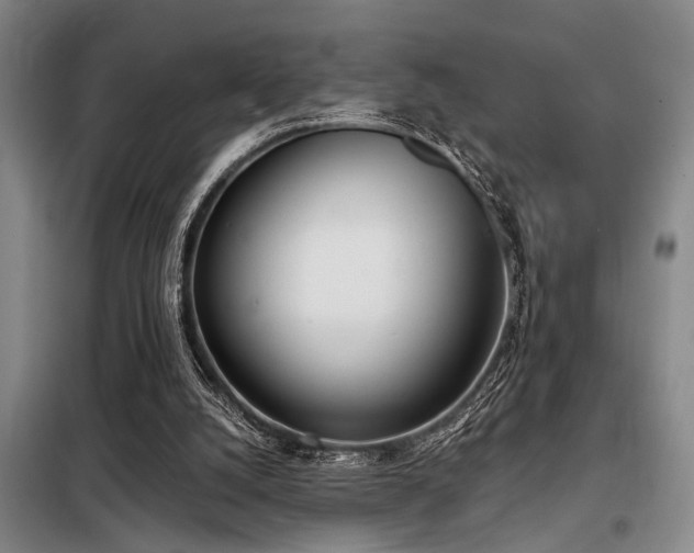 X0000098140056200804171558