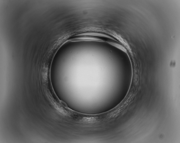 X0000098140057200804171558