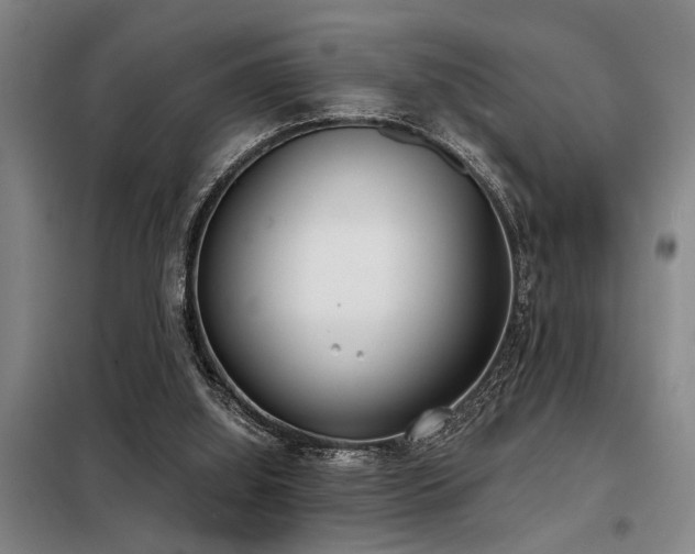 X0000098140060200804171558
