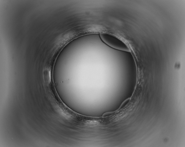 X0000098140061200804171558