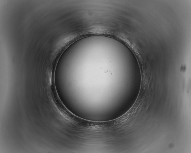X0000098140062200804171558