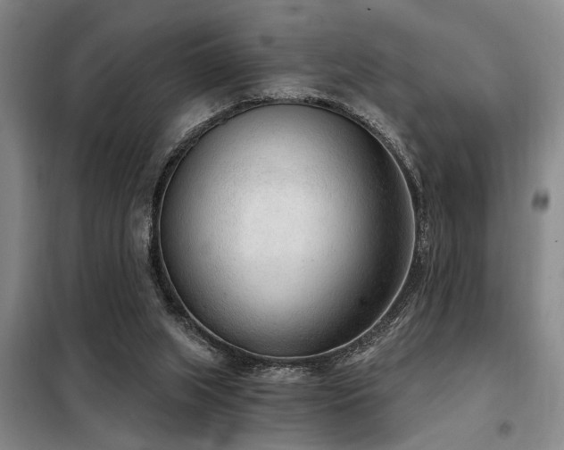X0000098140063200804171558