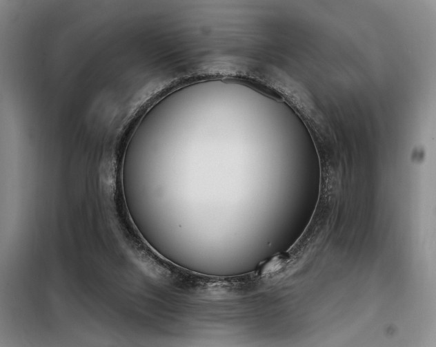 X0000098140064200804171558