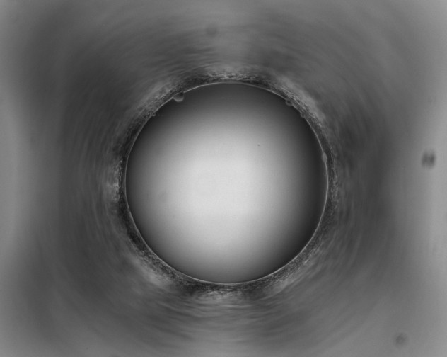 X0000098140065200804171558