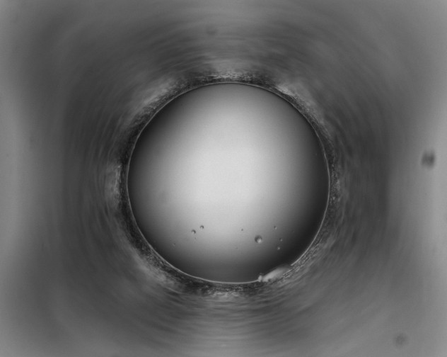 X0000098140066200804171558