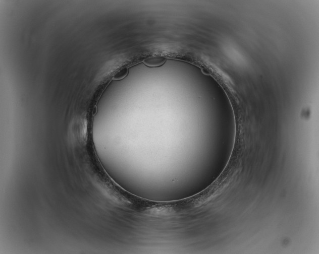 X0000098140067200804171558