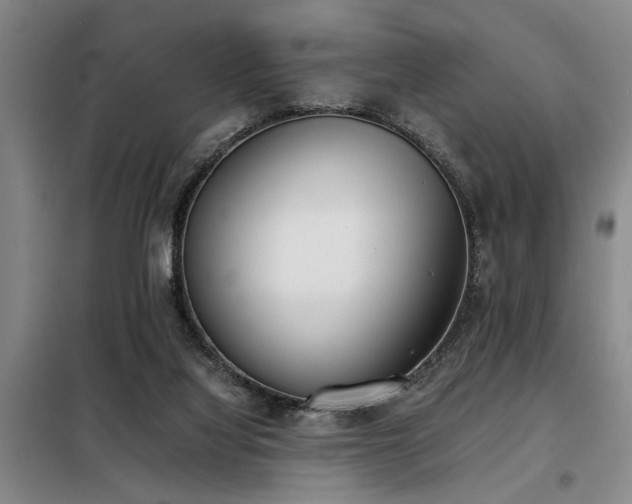 X0000098140068200804171558