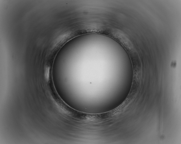 X0000098140070200804171558