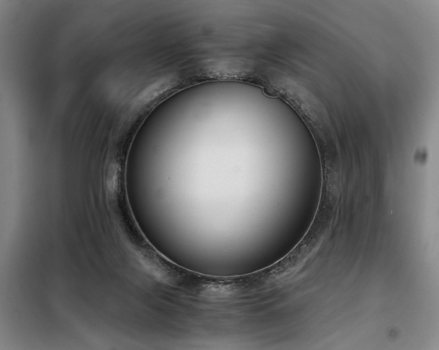 X0000098140071200804171558