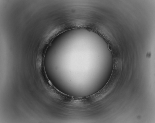 X0000098140072200804171558
