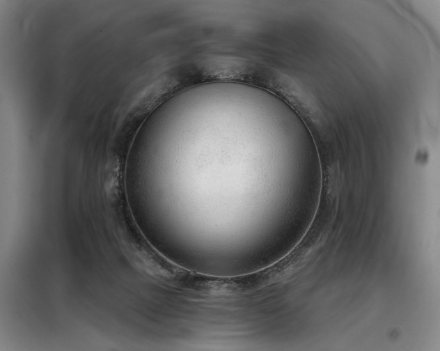 X0000098140073200804171558