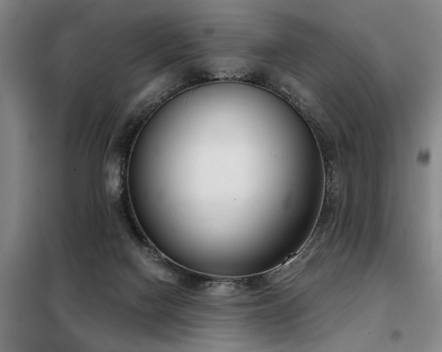 X0000098140074200804171558