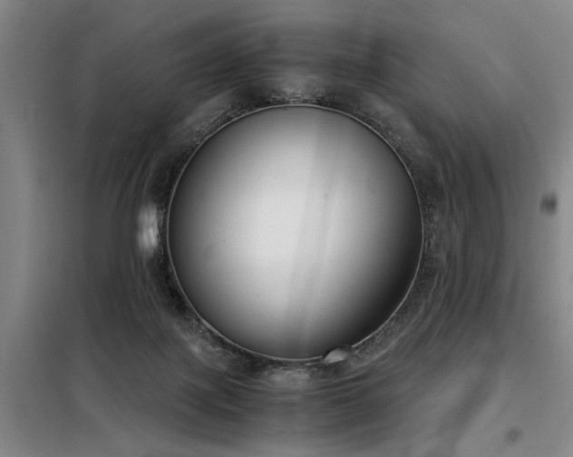 X0000098140075200804171558