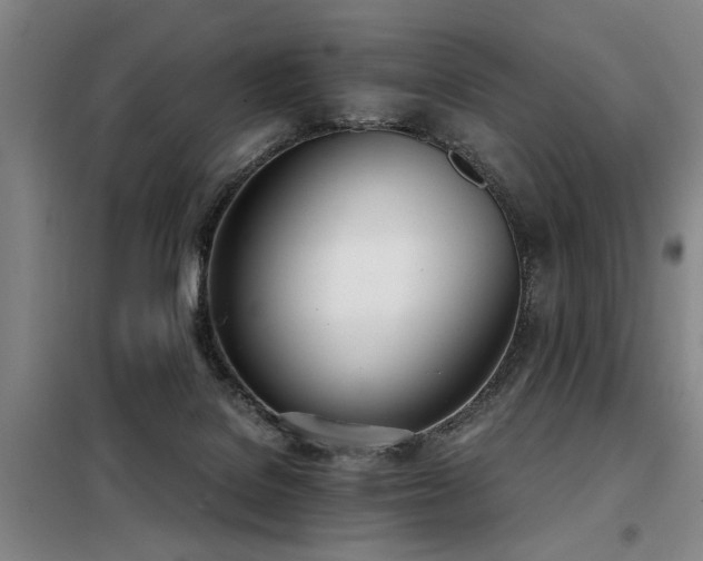 X0000098140076200804171558