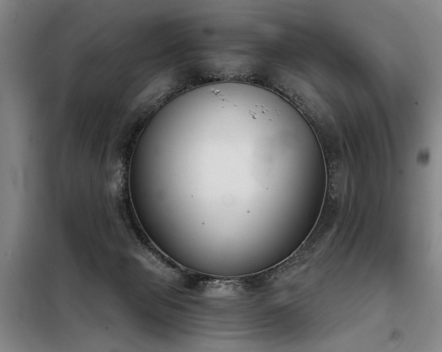 X0000098140077200804171558