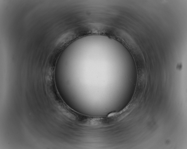 X0000098140078200804171558