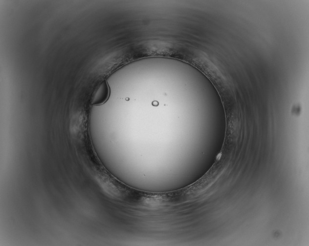 X0000098140079200804171558
