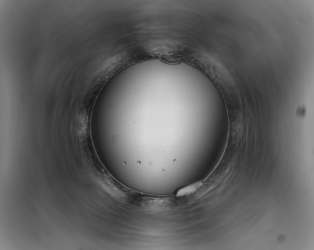 X0000098140081200804171558