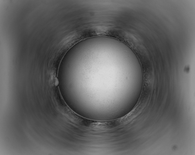 X0000098140082200804171558
