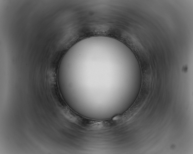 X0000098140083200804171558