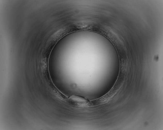X0000098140085200804171558