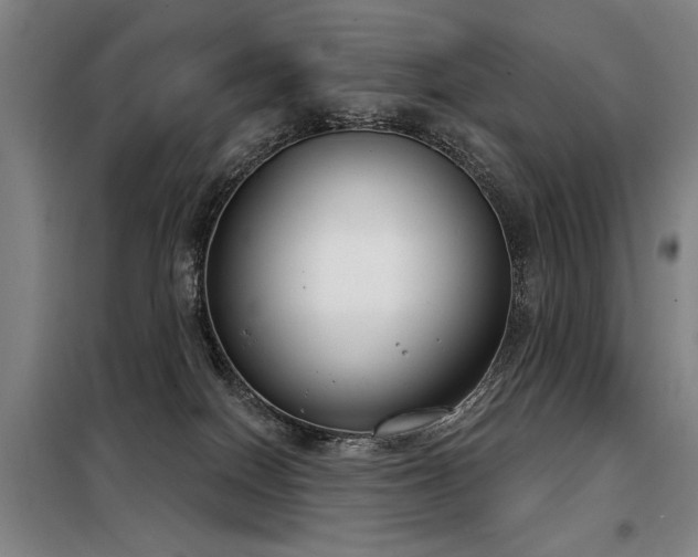 X0000098140086200804171558