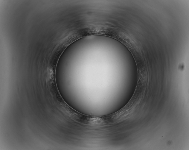 X0000098140087200804171558