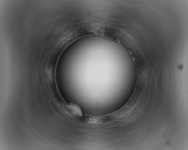 X0000098140088200804171558