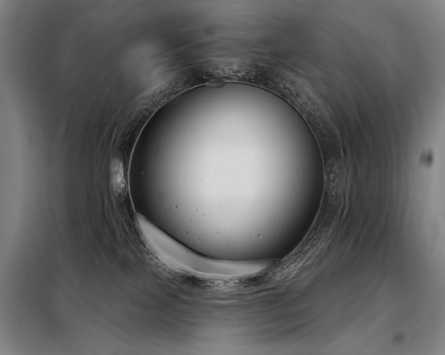 X0000098140089200804171558