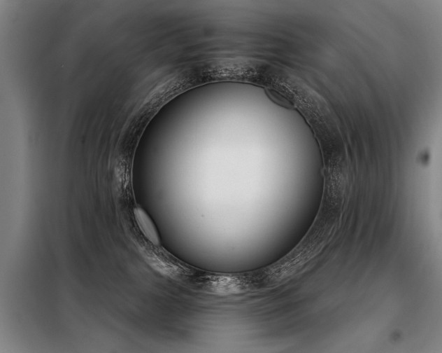 X0000098140091200804171558