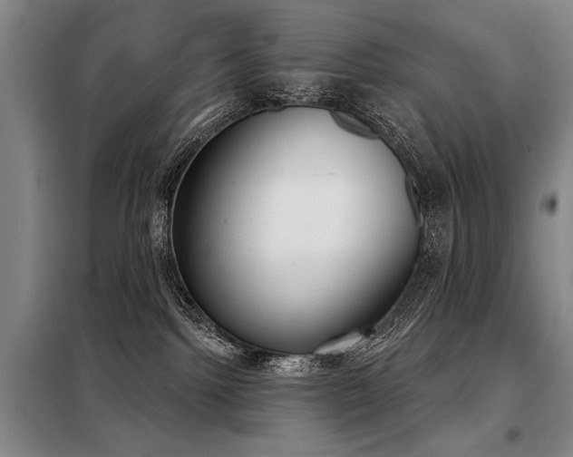 X0000098140092200804171558