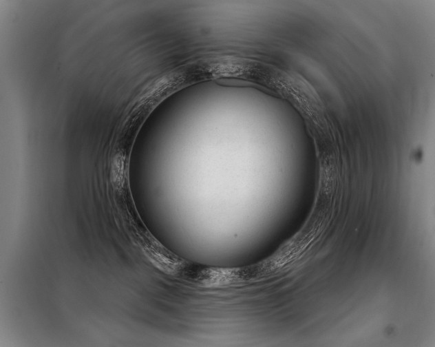 X0000098140093200804171558