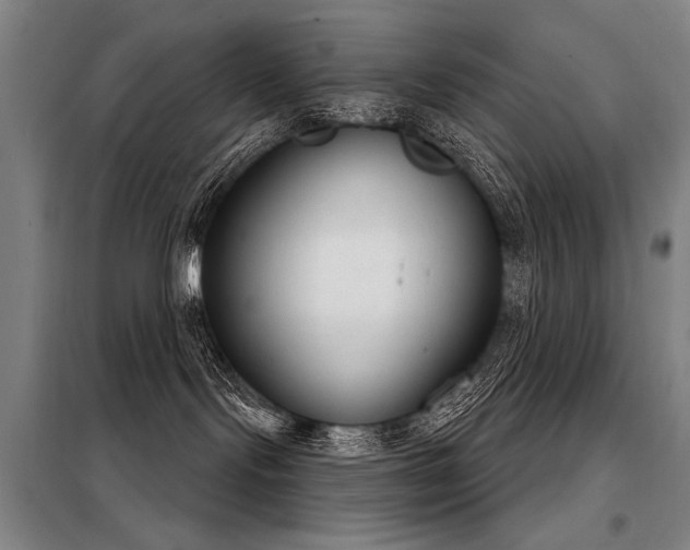 X0000098140095200804171558