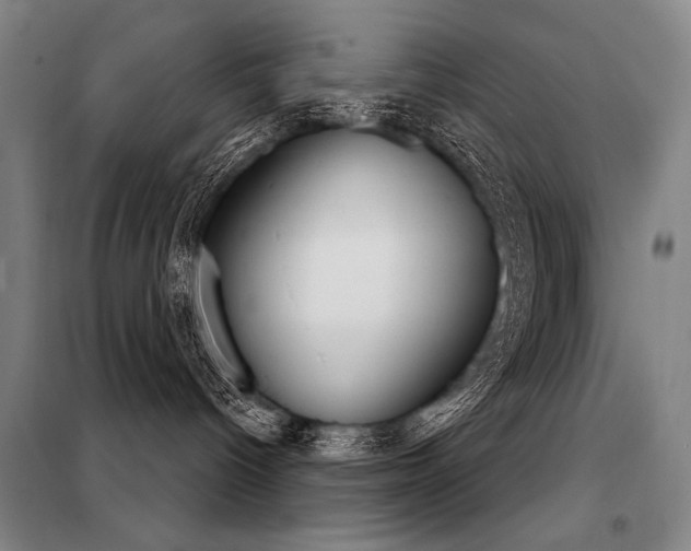 X0000098140096200804171558