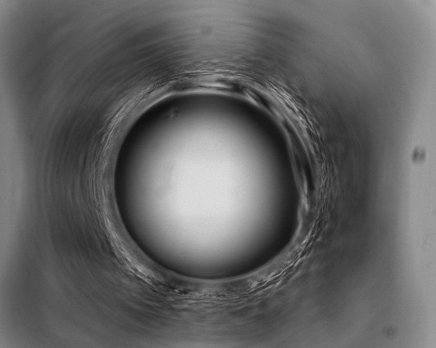 X0000098140097200804171557