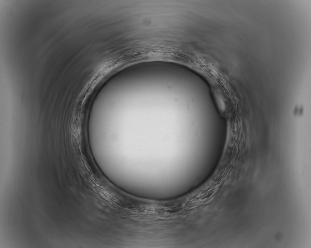 X0000098140098200804171557