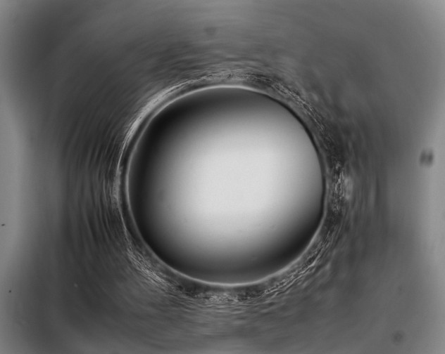 X0000098140100200804171557
