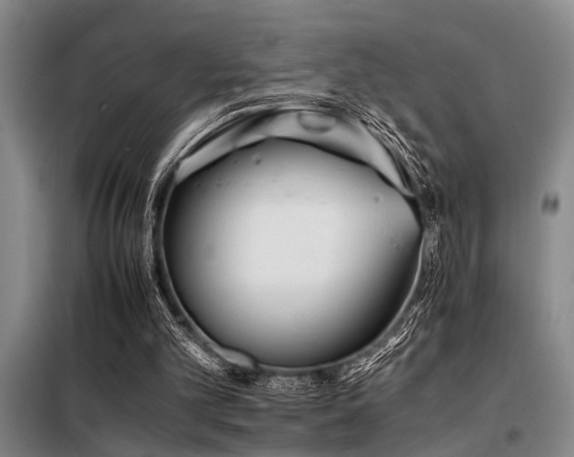 X0000098140101200804171557