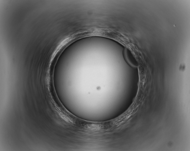 X0000098140102200804171557