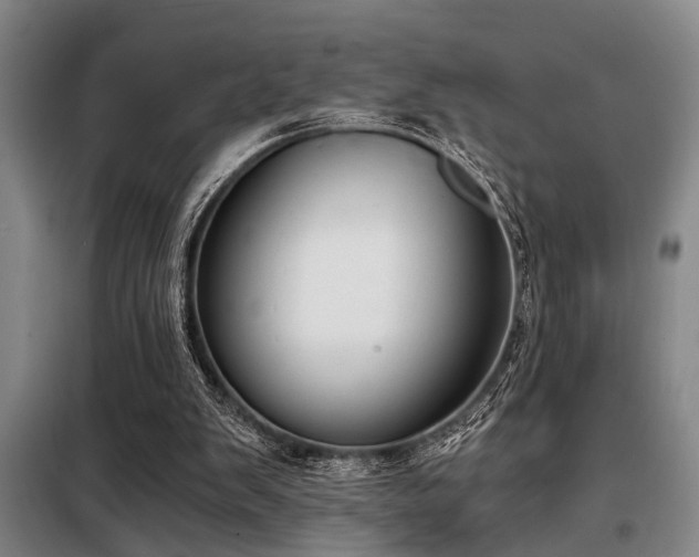 X0000098140103200804171557