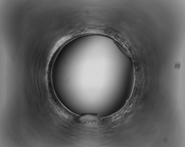 X0000098140104200804171557