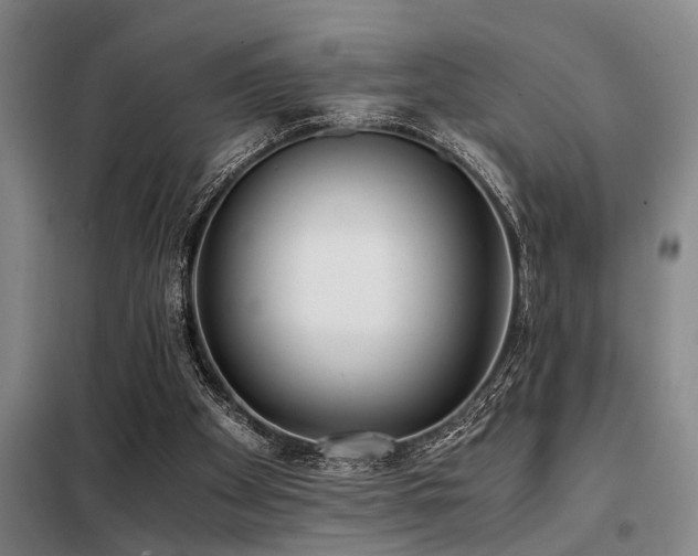 X0000098140105200804171557