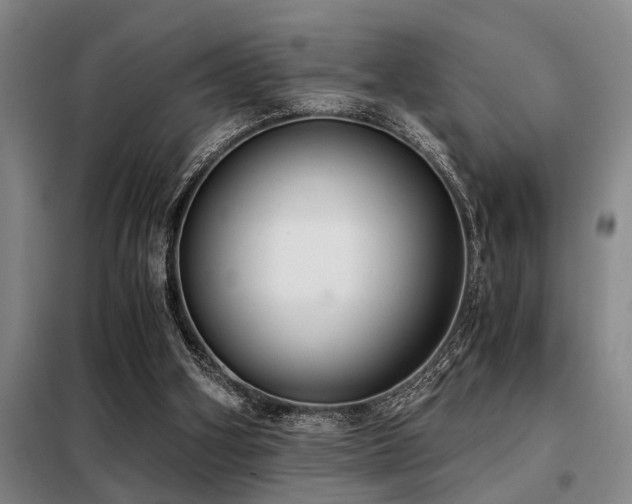 X0000098140106200804171557