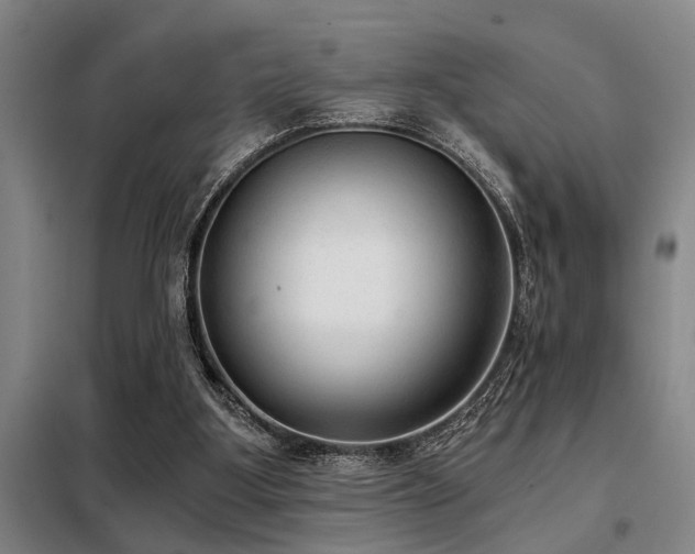 X0000098140107200804171557