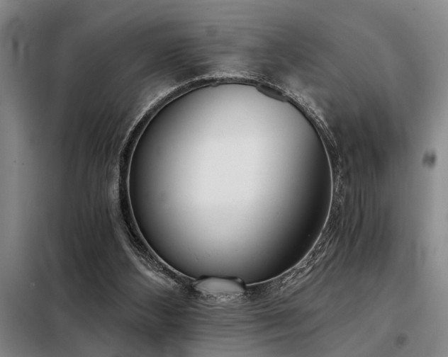 X0000098140108200804171557