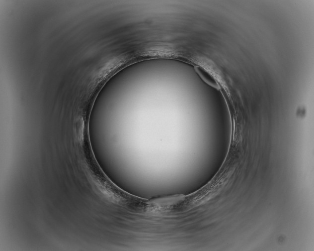 X0000098140109200804171557
