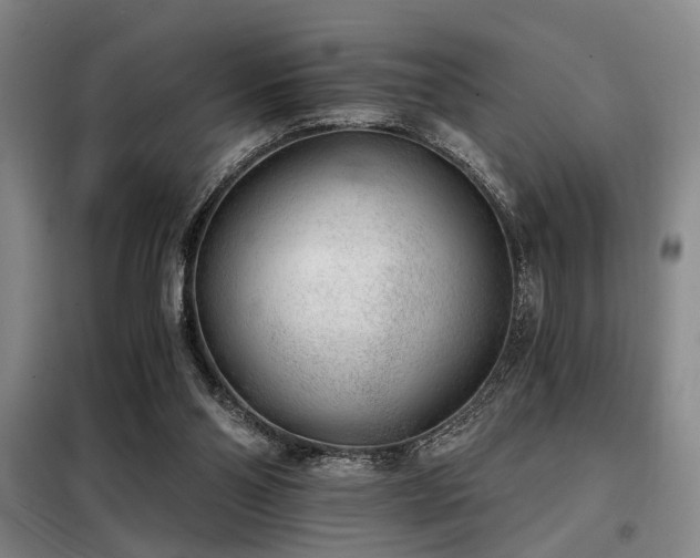 X0000098140110200804171557